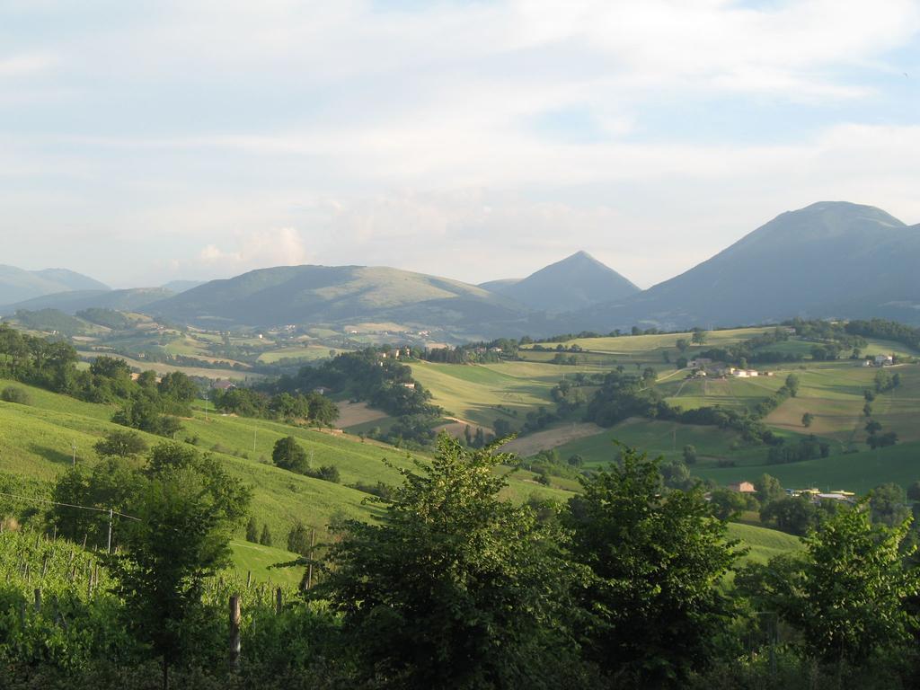Locanda Dell'Istrice Camerino Værelse billede